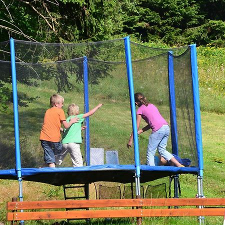 Pension Renata Harrachov Exteriör bild
