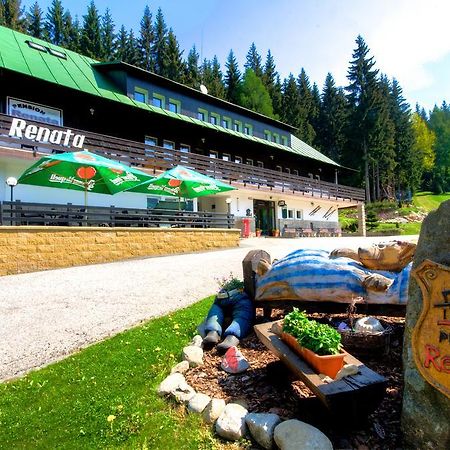 Pension Renata Harrachov Exteriör bild