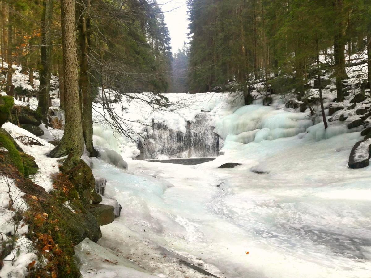 Pension Renata Harrachov Exteriör bild