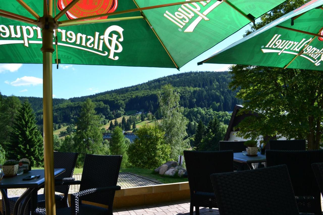 Pension Renata Harrachov Exteriör bild